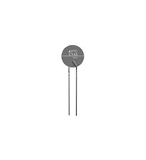 B59980C120A70, B59980C0120A070, PTC170mA 80v 25 Ом