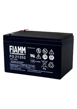 FG21202, 12В,12АЧ,151Х98Х94
